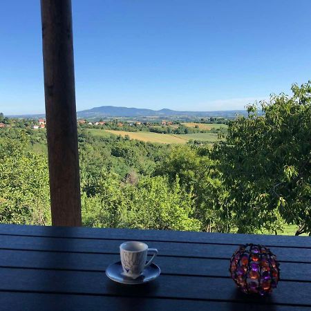 Vila Pogled Arandjelovac Esterno foto