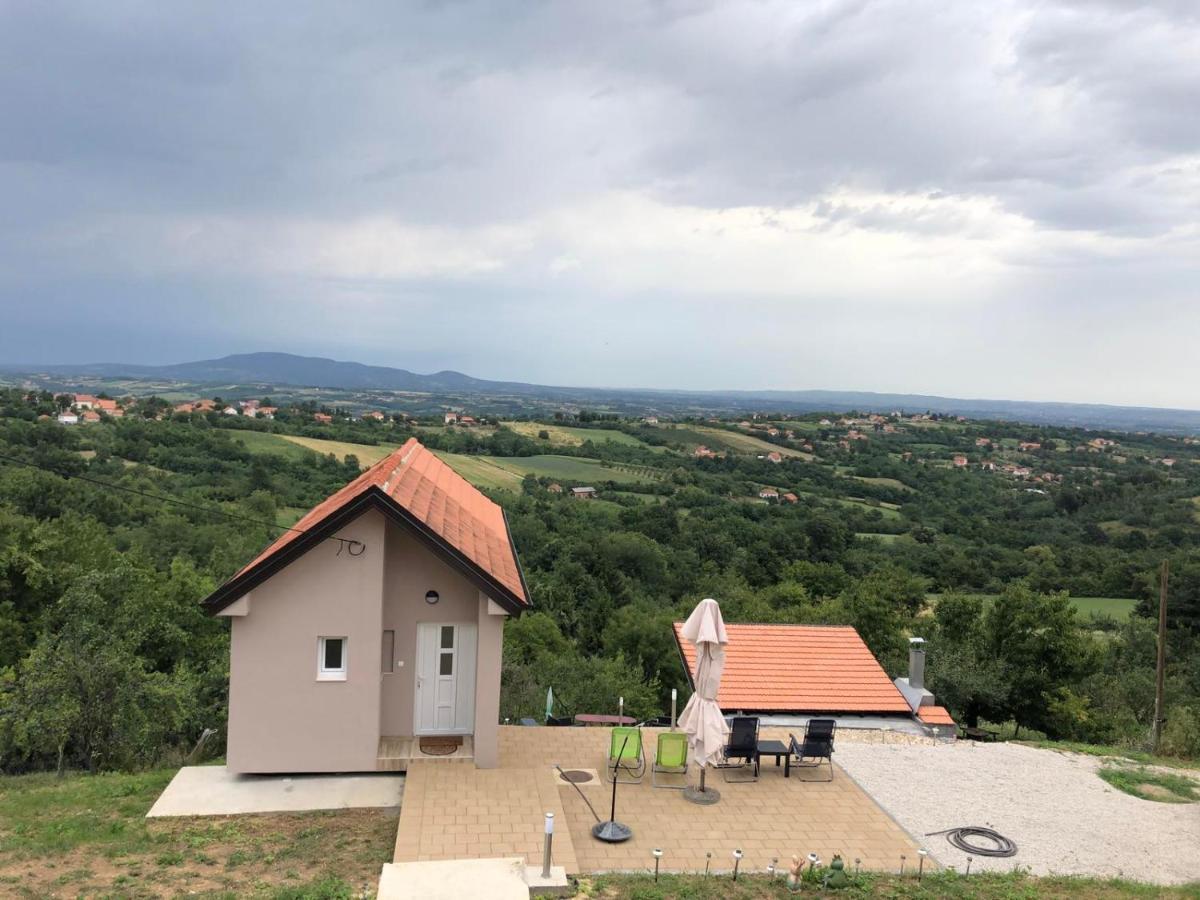 Appartamento Vila Pogled Arandjelovac Esterno foto