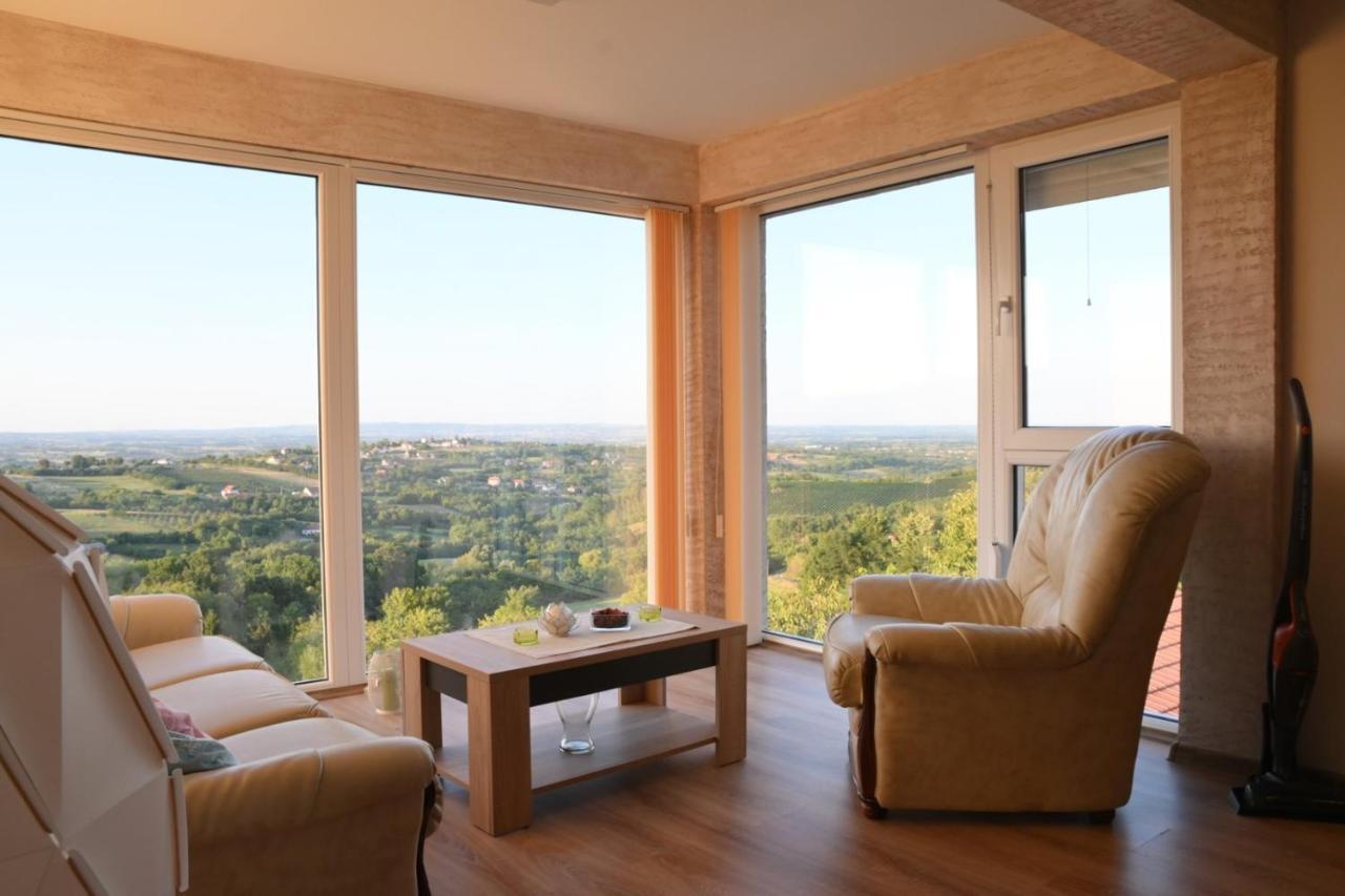 Vila Pogled Arandjelovac Esterno foto