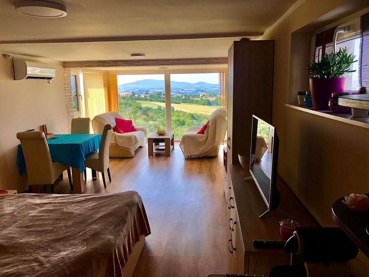 Vila Pogled Arandjelovac Esterno foto
