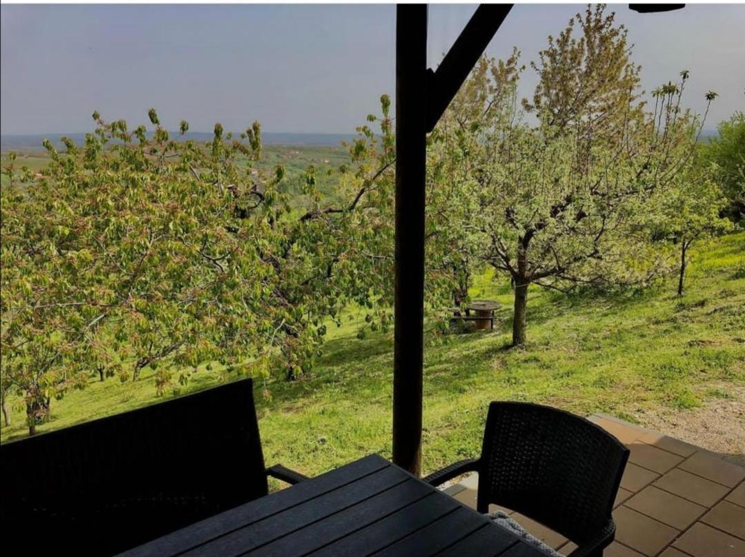 Vila Pogled Arandjelovac Esterno foto