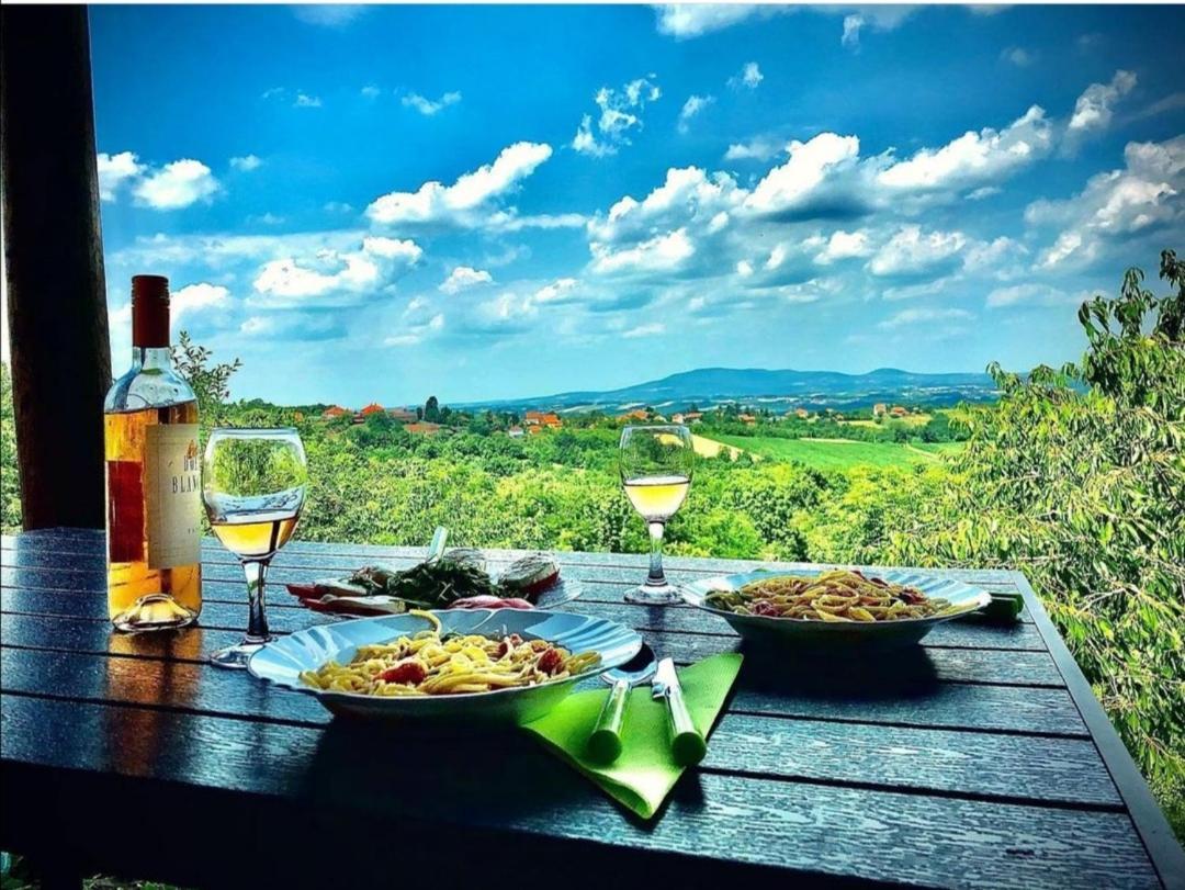 Vila Pogled Arandjelovac Esterno foto